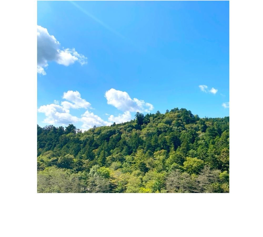 お部屋からの眺望は日光の山々と素晴らしい青色が特徴の空