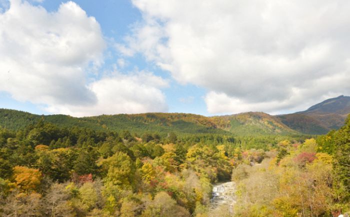 リバービュールームからの秋の日光の紅葉