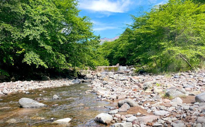 シェルターガーデン 日光のホテルの目の前はきれいな水の川が流れています