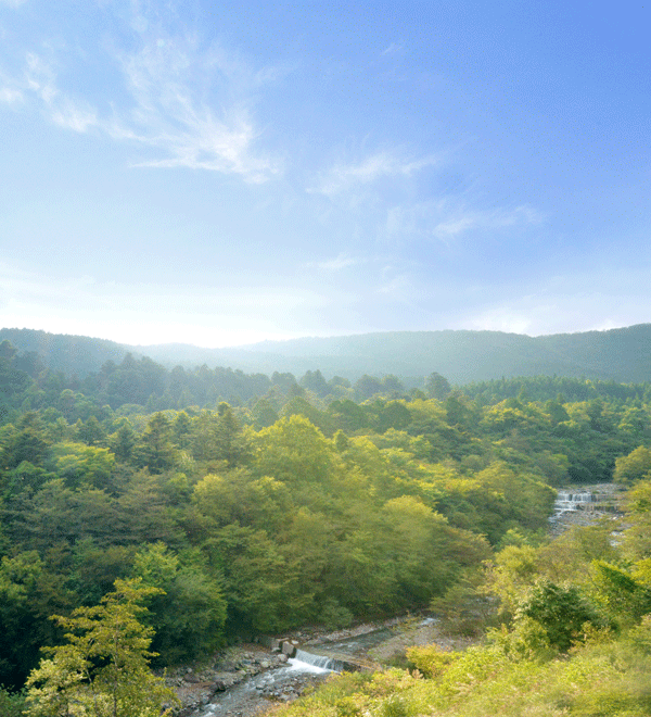 img20230220132012643116.png